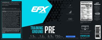 EFX Sports Training Ground PRE Blueberry - supplement