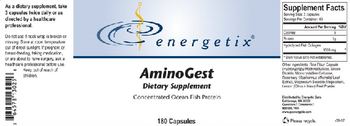Energetix AminoGest - supplement