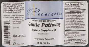 Energetix Gentle Pathway - supplement