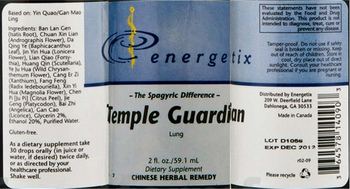 Energetix Temple Guardian - supplement