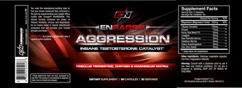 Enraged Aggression - supplement
