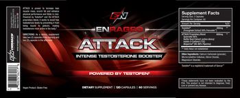 Enraged Attack - supplement