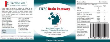 Enzo Nutraceuticals Enzo Brain Recovery - supplement