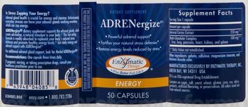Enzymatic Therapy Adrenergize - supplement