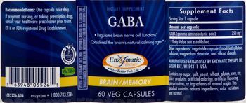 Enzymatic Therapy GABA - supplement