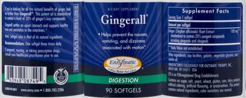 Enzymatic Therapy Gingerall - supplement