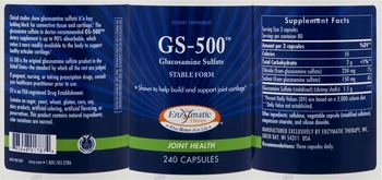 Nature's Way GS-500 Glucosamine Sulfate - supplement