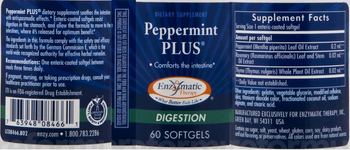 Enzymatic Therapy Peppermint Plus - supplement