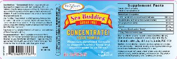 Enzymatic Therapy Sea Buddies Sugar Free Concentrate! Focus Formula - supplement