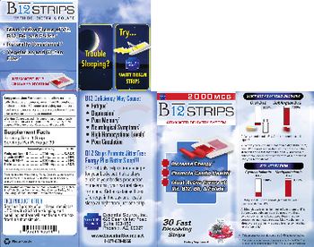 Essential Source B12 Strips 2000 mcg Winter Berry - supplement