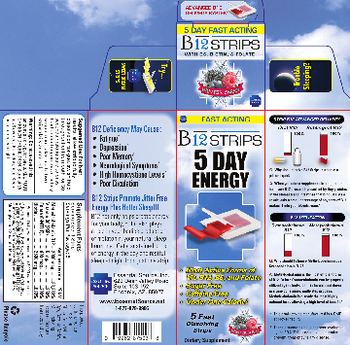 Essential Source B12 Strips 5 Day Energy Winter Berry - supplement