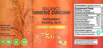 Exir USA Balance Turmeric Curcumin - supplement