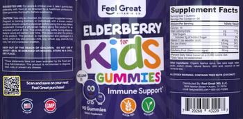 Feel Great Vitamin Co. Elderberry for Kids Gummies - supplement