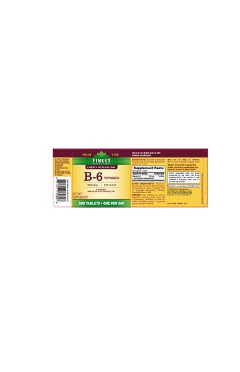 Finest Nutrition B-6 Vitamin 100 mg - supplement