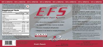 First Endurance EFS Electrolyte Fuel System Fruit Punch - energy drink supplement