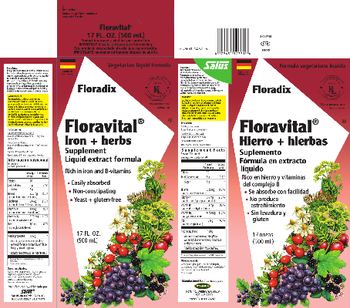 Floradix Floravital Iron + Herbs - iron herbs supplement