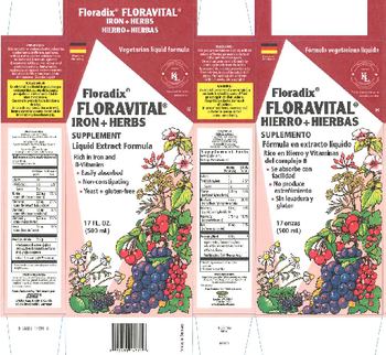 Floradix Floravital Iron + Herbs - iron herbs supplement
