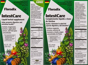 Floradix IntestCare - liquid herbal supplement