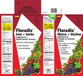 Floradix Iron + Herbs - iron herbs supplement