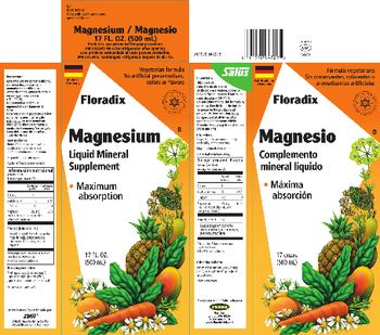 Floradix Magnesium - liquid mineral supplement