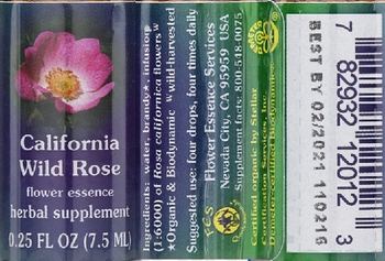 Flower Essence Services California Wild Rose Flower Essence - herbal supplement