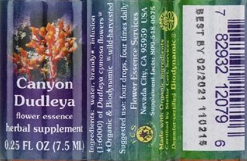 Flower Essence Services Canyon Dudleya Flower Essence - herbal supplement