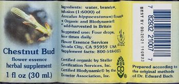 Flower Essence Services Chestnut Bud Flower Essence - herbal supplement