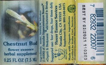 Flower Essence Services Chestnut Bud Flower Essence - herbal supplement