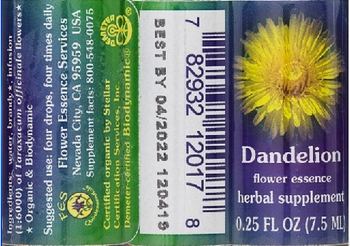 Flower Essence Services Dandelion Flower Essence - herbal supplement