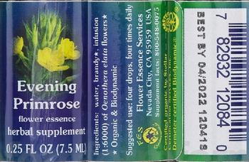 Flower Essence Services Evening Primrose Flower Essence - herbal supplement