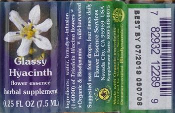 Flower Essence Services Glassy Hyacinth Flower Essence - herbal supplement