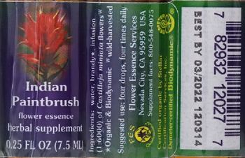 Flower Essence Services Indian Paintbrush Flower Essence - herbal supplement