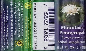 Flower Essence Services Mountain Pennyroyal Flower Essence - herbal supplement