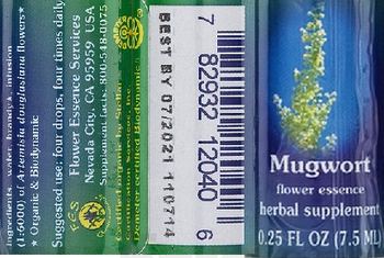 Flower Essence Services Mugwort Flower Essence - herbal supplement