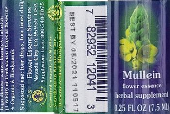 Flower Essence Services Mullein Flower Essence - herbal supplement
