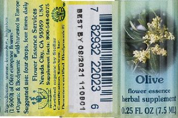 Flower Essence Services Olive Flower Essence - herbal supplement
