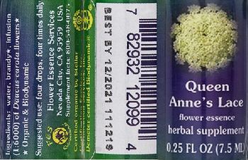 Flower Essence Services Queen Anne's Lace Flower Essence - herbal supplement
