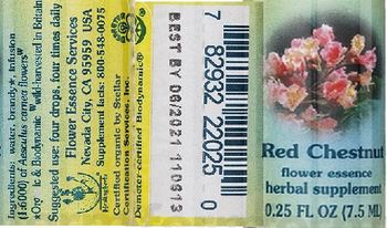 Flower Essence Services Red Chestnut Flower Essence - herbal supplement