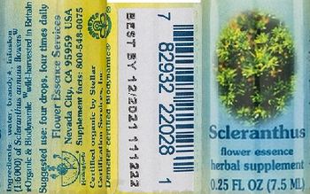 Flower Essence Services Scleranthus Flower Essence - herbal supplement