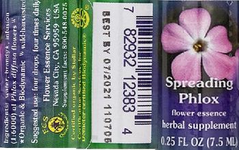 Flower Essence Services Spreading Phlox Flower Essence - herbal supplement