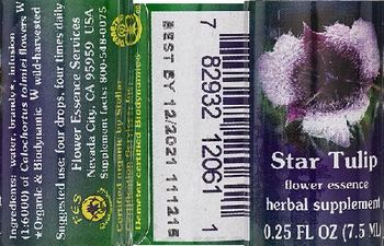 Flower Essence Services Star Tulip Flower Essence - herbal supplement