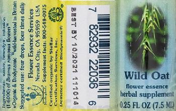 Flower Essence Services Wild Oat Flower Essence - herbal supplement