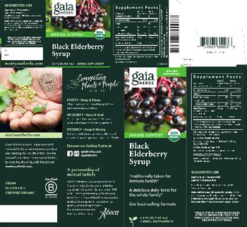 Gaia Herbs Black Elderberry Syrup - herbal supplement