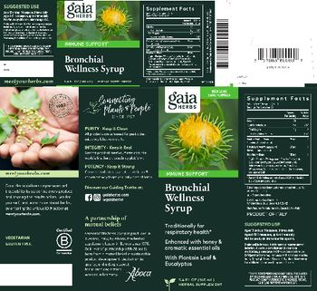 Gaia Herbs Bronchial Wellness Syrup - herbal supplement