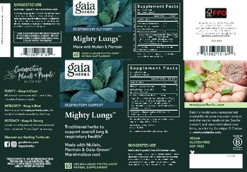 Gaia Herbs Mighty Lungs - herbal supplement