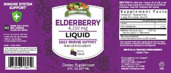 Garden Greens Elderberry Liquid 4,250 mg Berry Flavor - supplement