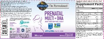 Garden Of Life Dr. Formulated Prenatal Multi + DHA - whole food supplement