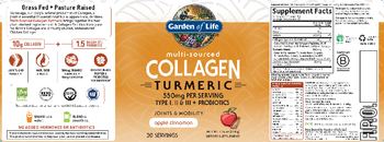 Garden Of Life Multi-Sourced Collagen Turmeric Apple Cinnamon - supplement