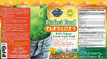 Garden Of Life Perfect Food Energizer Raw Organic Green Super Food - whole food supplement