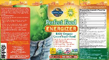 Garden Of Life Perfect Food Energizer Raw Organic Green Super Food - whole food supplement